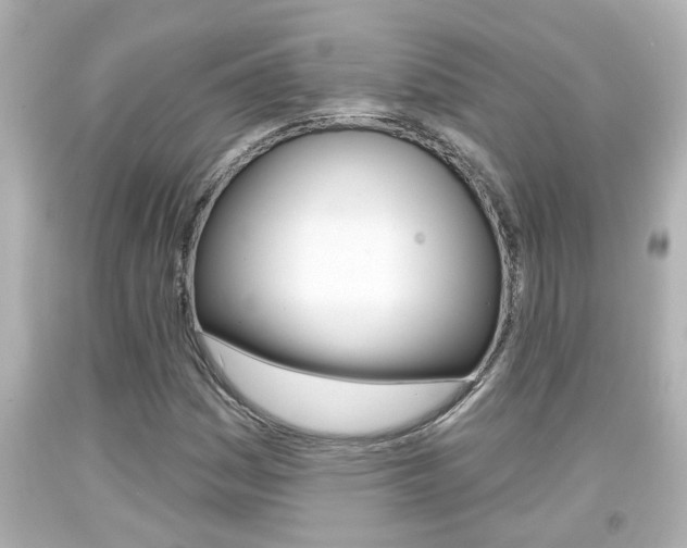 X0000094381161200711020818