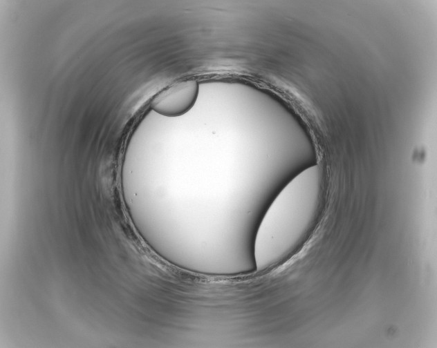 X0000094381162200711020818