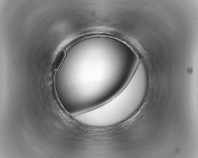 X0000094381164200711020818