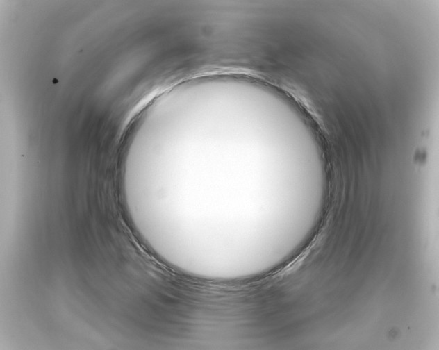 X0000094381165200711020818