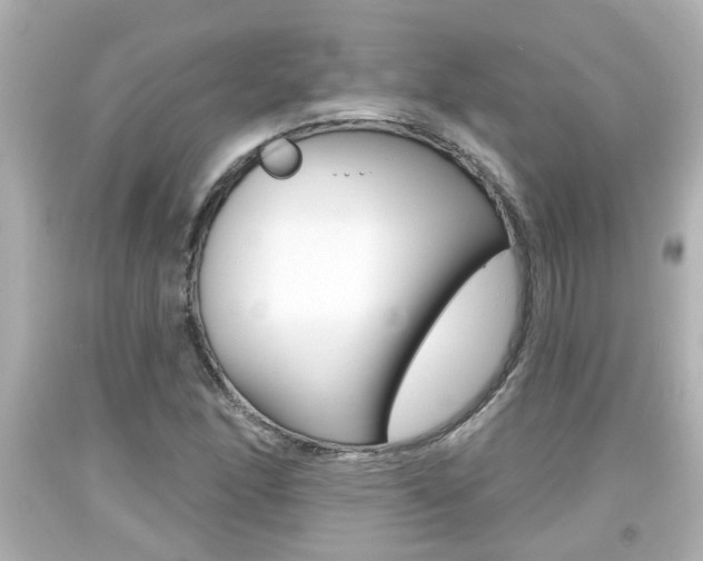 X0000094381166200711020818
