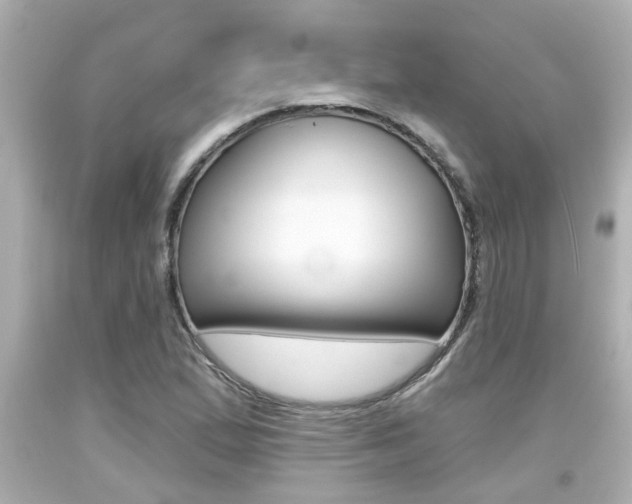 X0000094381167200711020818