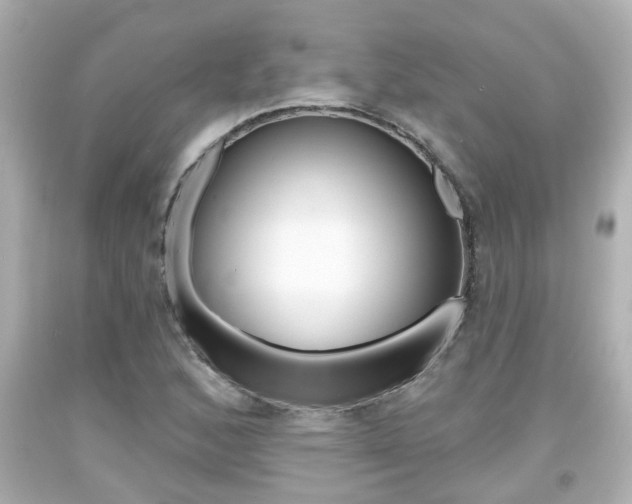 X0000094381168200711020818