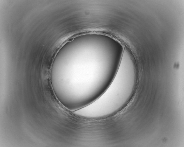 X0000094381169200711020818