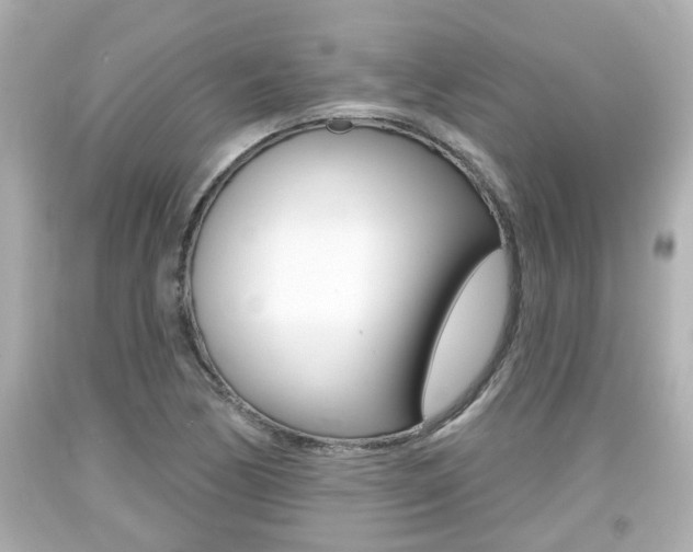 X0000094381170200711020818