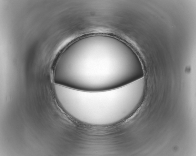 X0000094381171200711020818