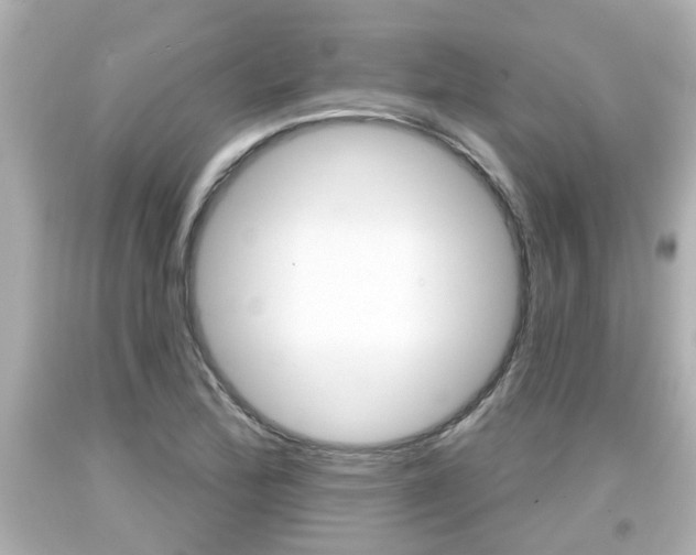 X0000094381172200711020818