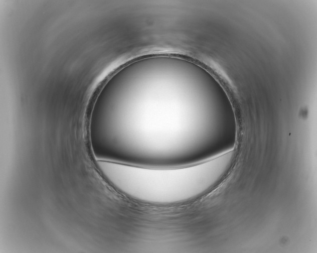 X0000094381173200711020818