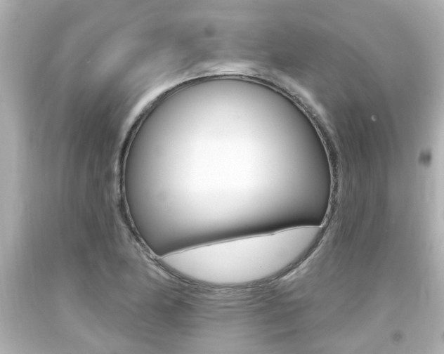 X0000094381174200711020818