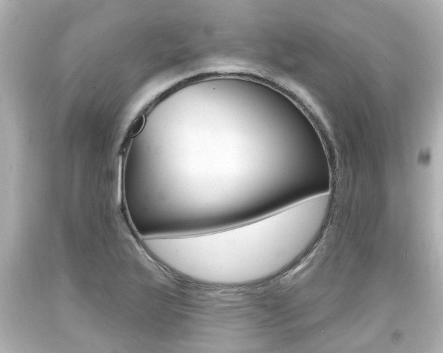 X0000094381175200711020818