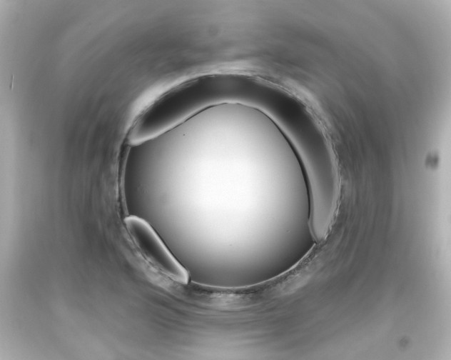 X0000094381176200711020818