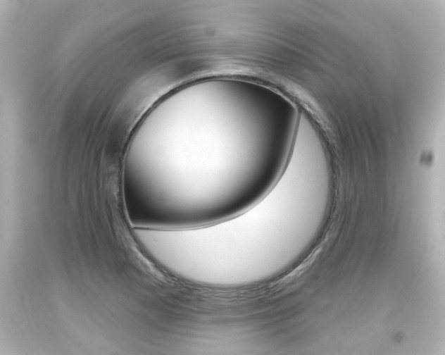 X0000094381177200711020818