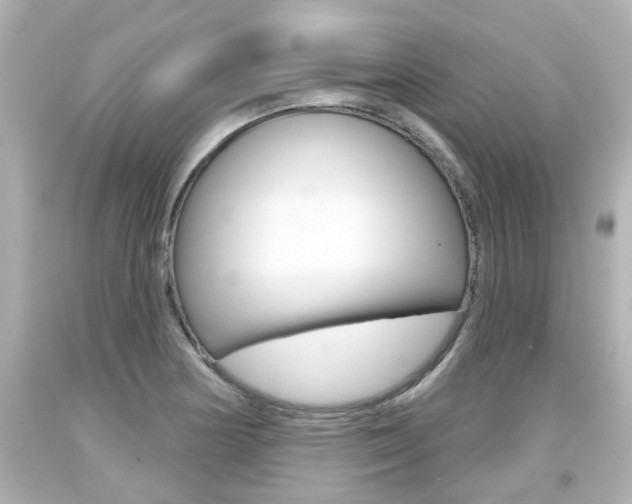 X0000094381178200711020818