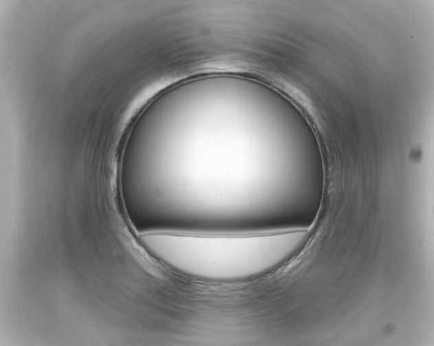 X0000094381179200711020818