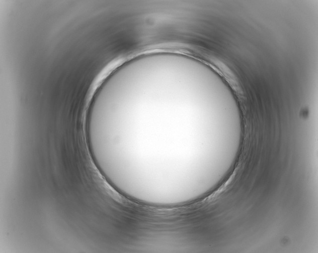 X0000094381180200711020817