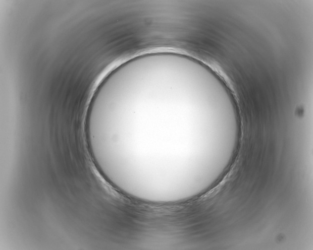 X0000094381181200711020817