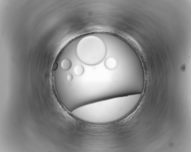 X0000094381182200711020817