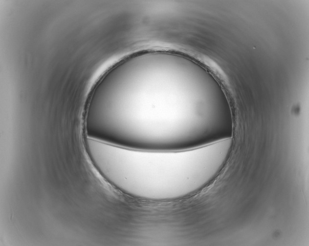 X0000094381183200711020817