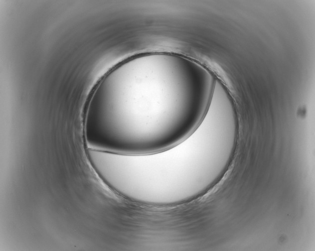 X0000094381184200711020817
