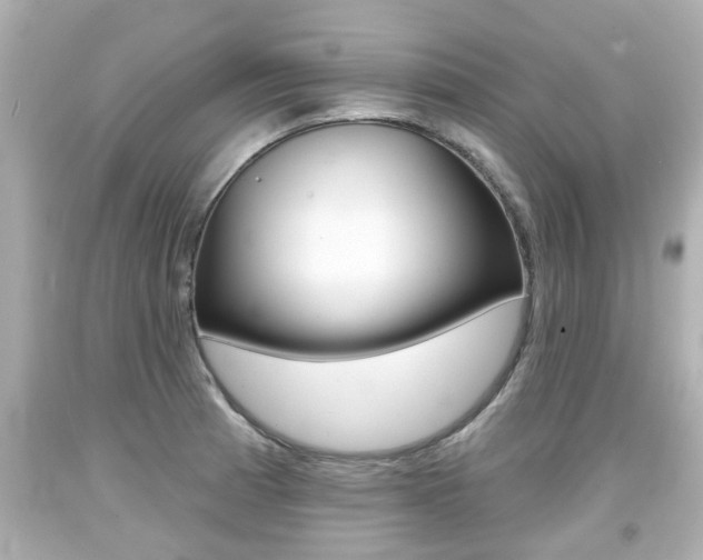 X0000094381185200711020817