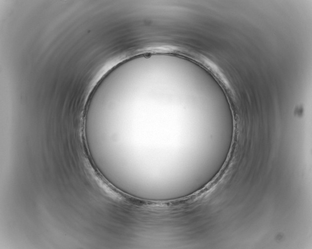 X0000094381186200711020817