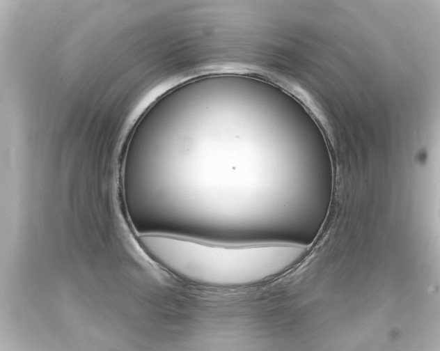 X0000094381187200711020817