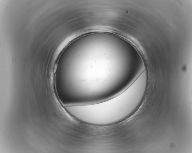 X0000094381188200711020817