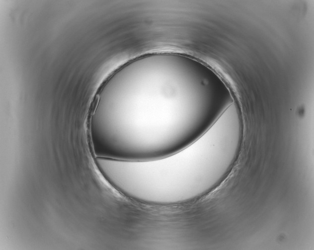 X0000094381189200711020817