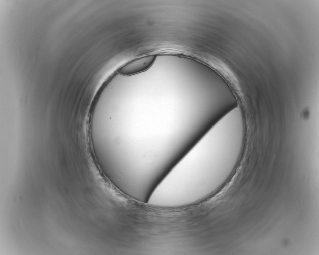 X0000094381190200711020817