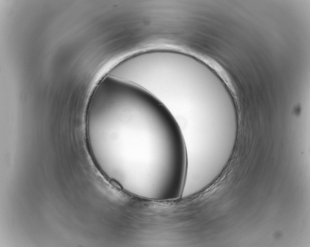 X0000094381191200711020817