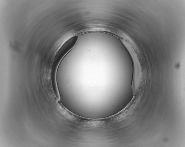X0000094381193200711020817