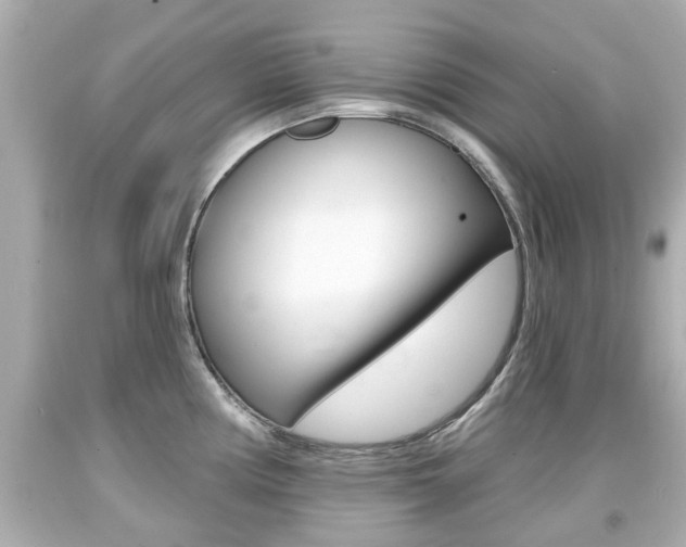 X0000094381194200711020817
