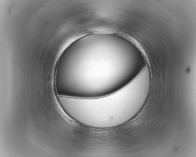 X0000094381195200711020817