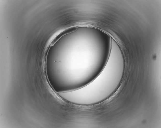 X0000094381196200711020817