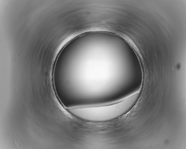 X0000094381197200711020817