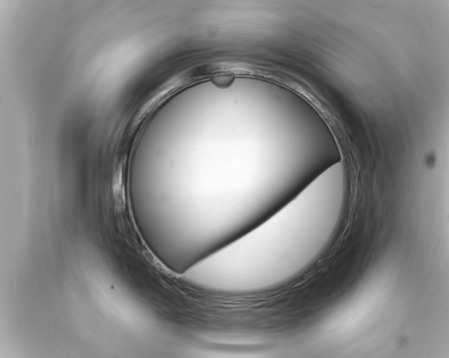 X0000094381198200711020817