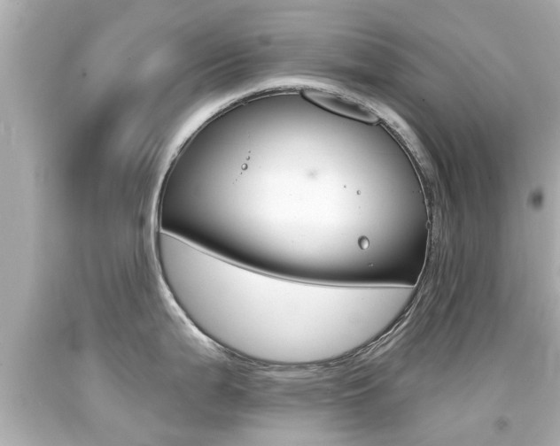 X0000094381199200711020817