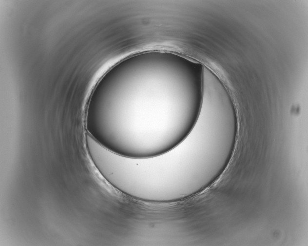 X0000094381200200711020817