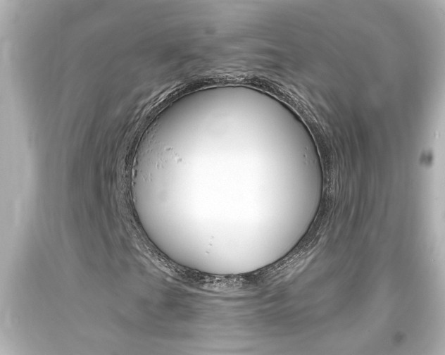 X0000094381201200711020816