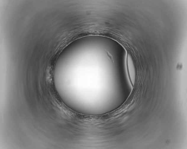 X0000094381202200711020816