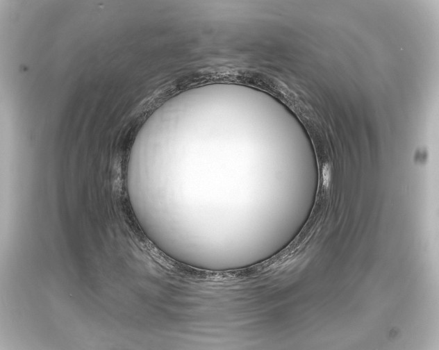 X0000094381203200711020816