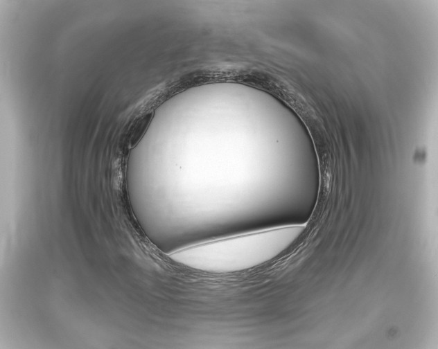 X0000094381204200711020816