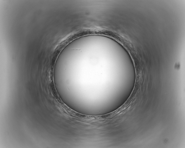 X0000094381205200711020816