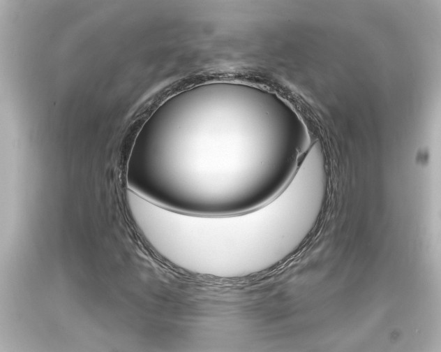 X0000094381206200711020816