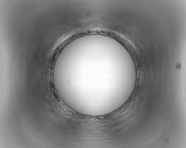 X0000094381207200711020816