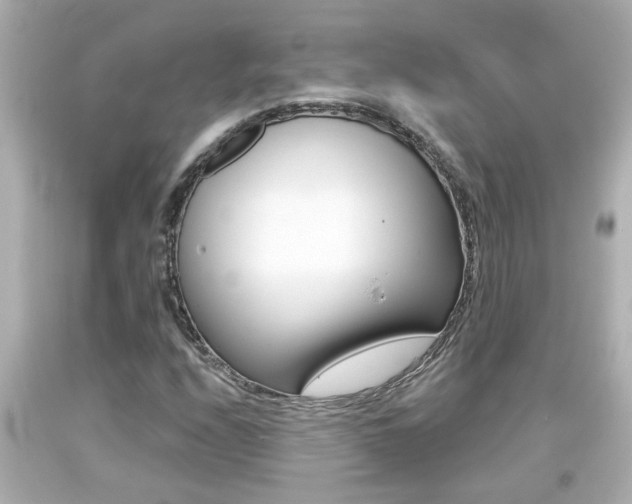 X0000094381208200711020816