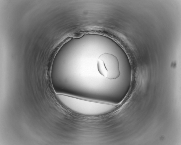 X0000094381209200711020816