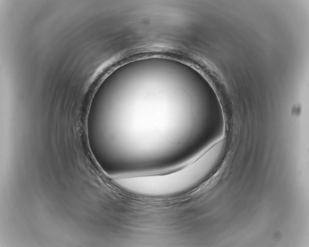 X0000094381210200711020816