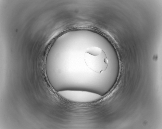 X0000094381211200711020817