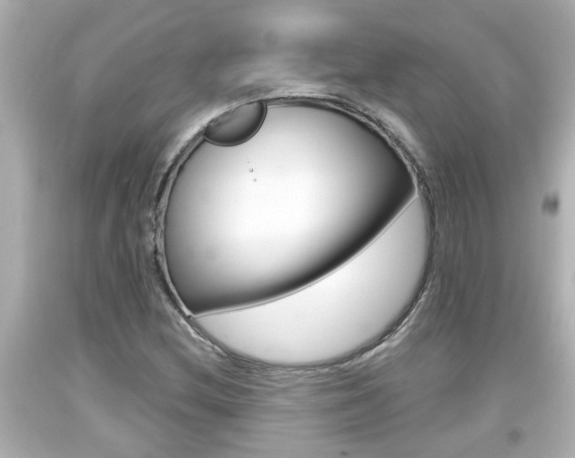 X0000094381212200711020817